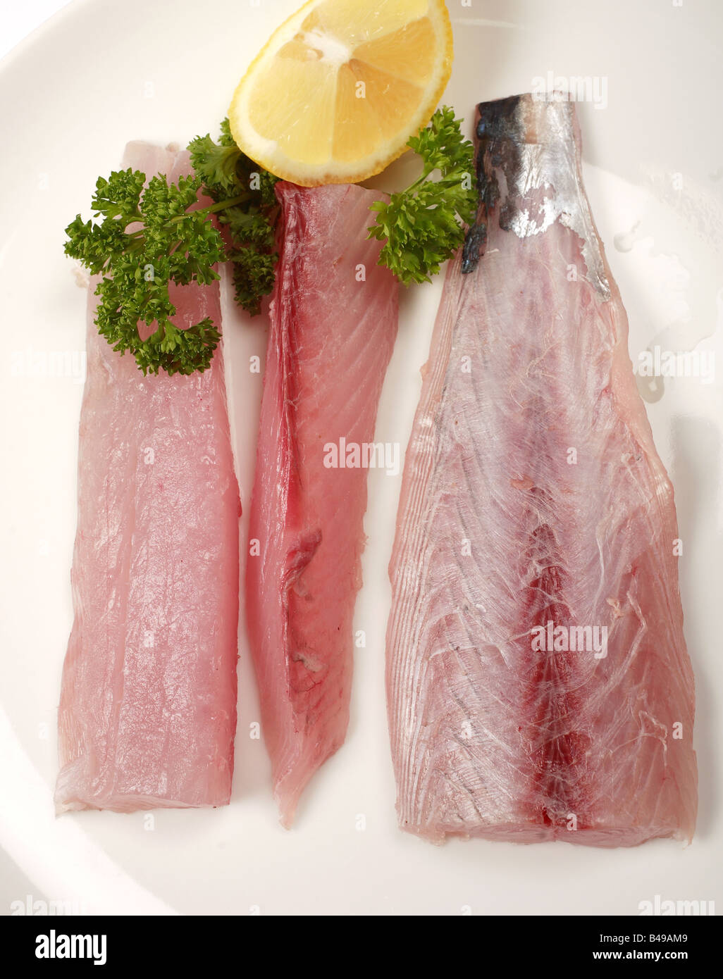 fillets of Spanish narrow barred mackerel also known as kingfish on a plate viewed from above Stock Photo