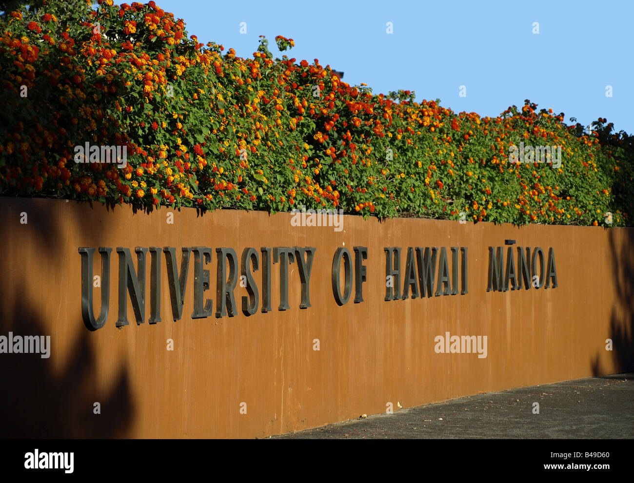 University of Hawaii Stock Photo