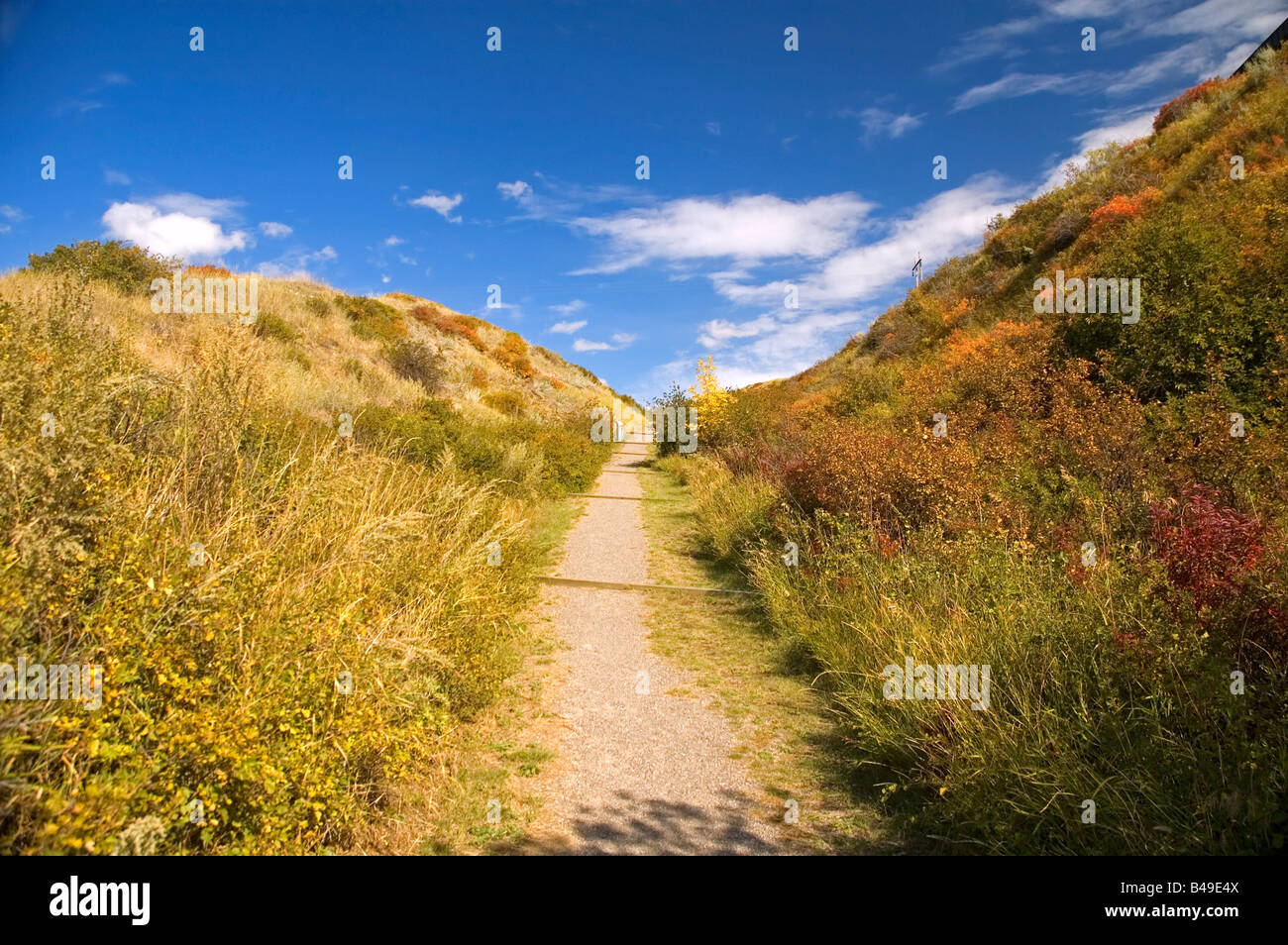 Foot path leading thru the coulees of Alberta Stock Photo