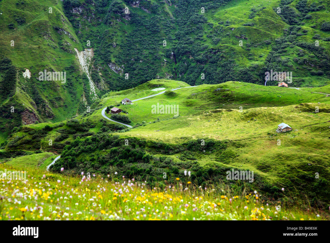 Green pasture seen from Furkapass in Switzerland Stock Photo