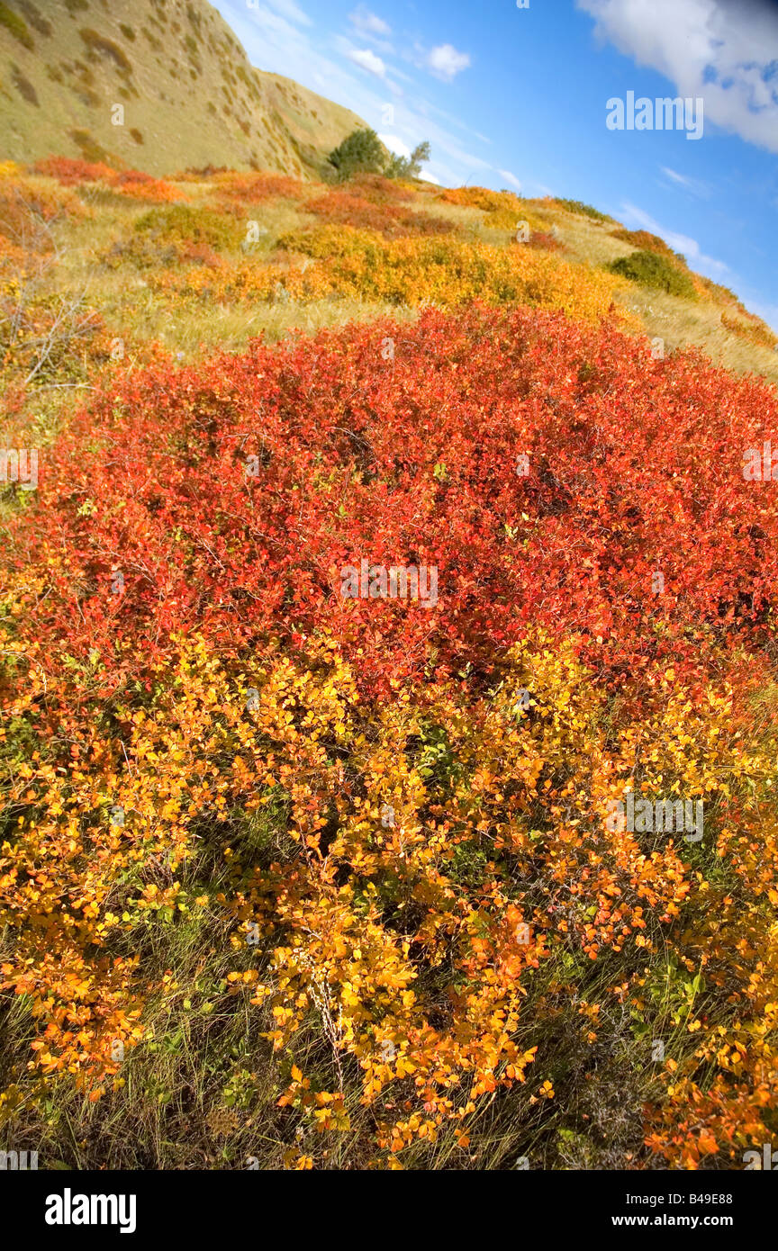 Lethbridge coulees in Autumn Stock Photo