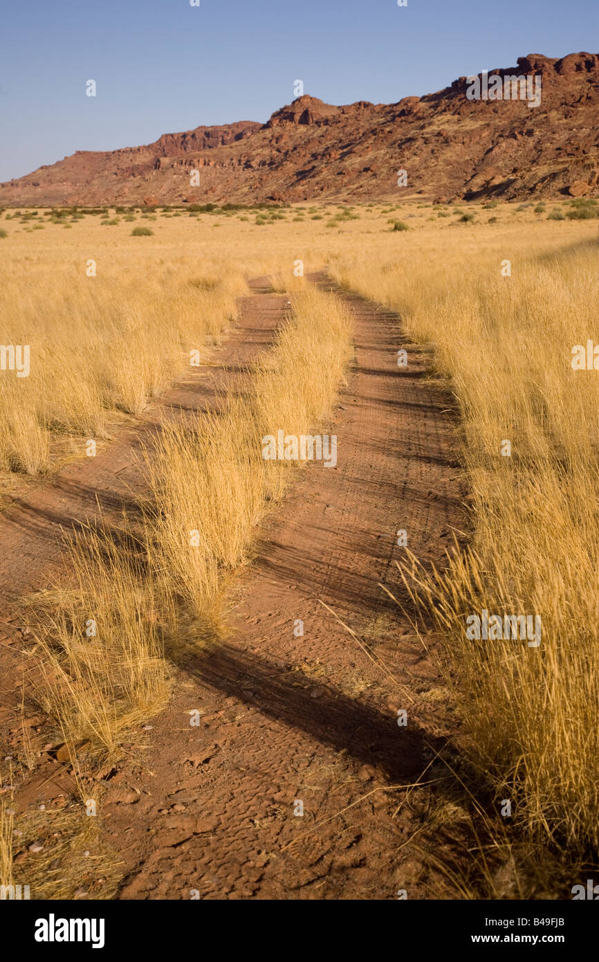 Track across dry grassland near Twyfelfontein Namibia Stock Photo