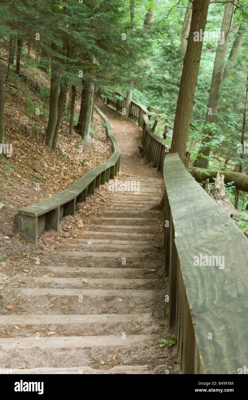 Path in state park Stock Photo