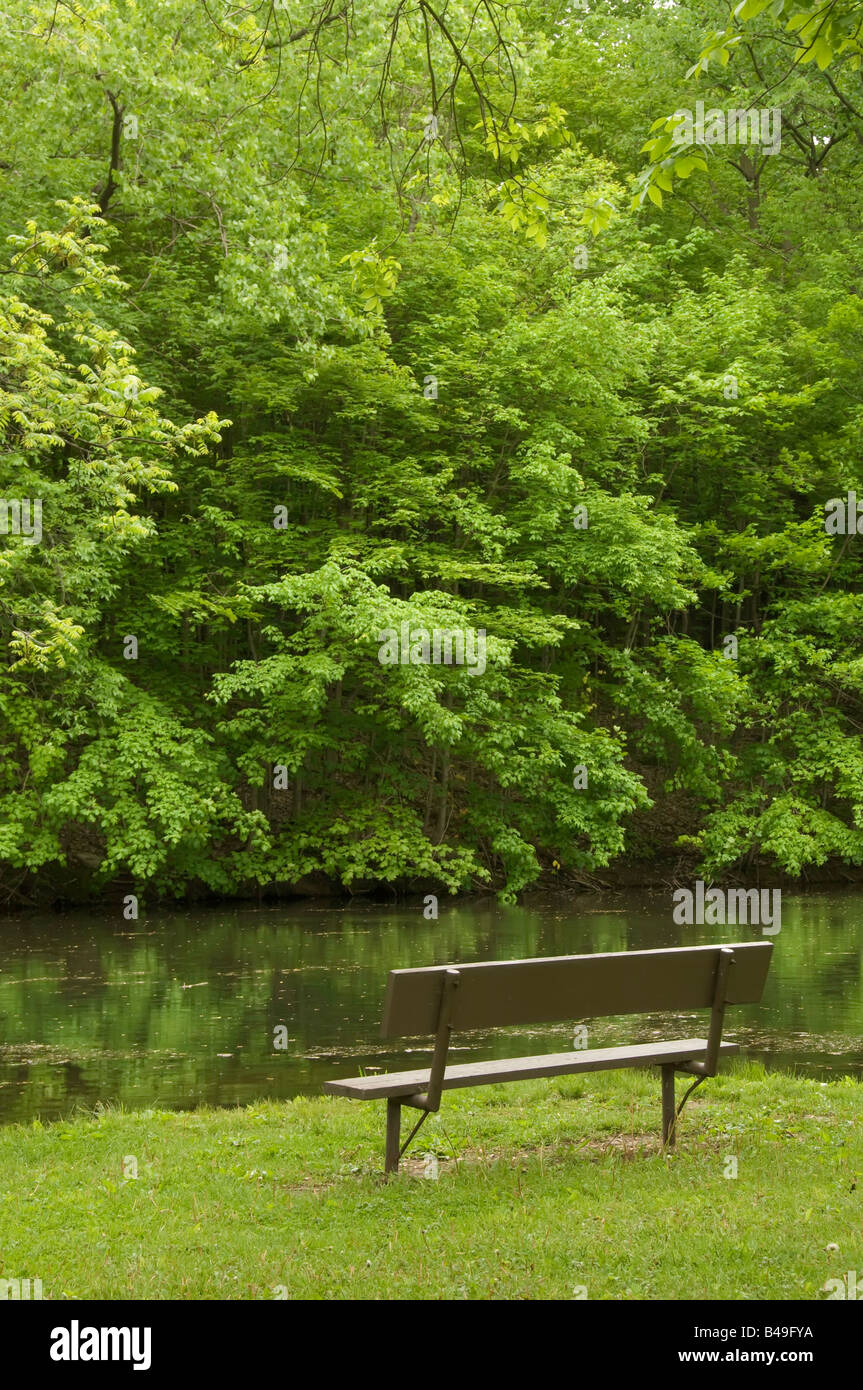 Vacant park bench by river in woods Stock Photo