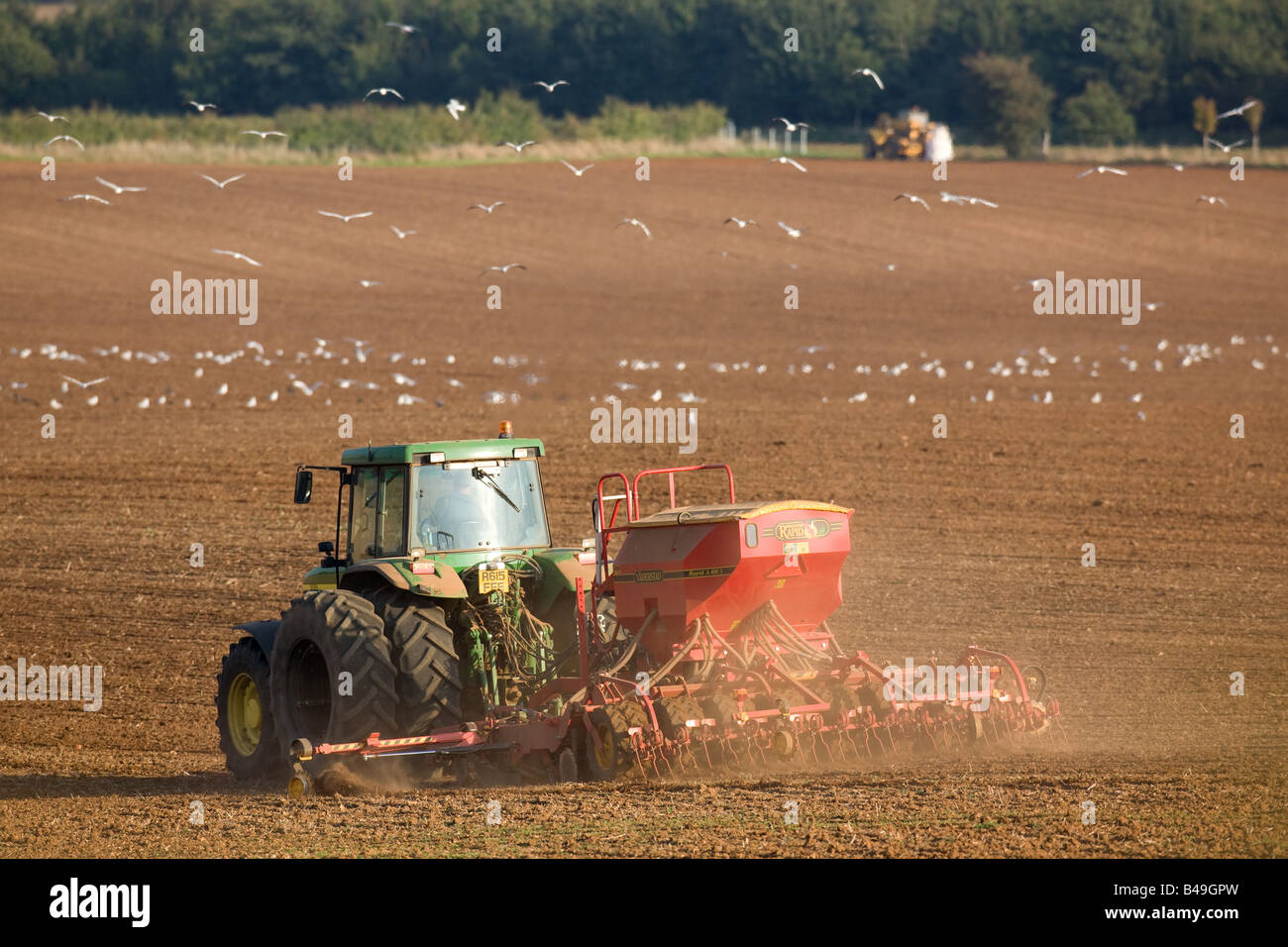 Drilling Wheat In Rutland Stock Photo Alamy