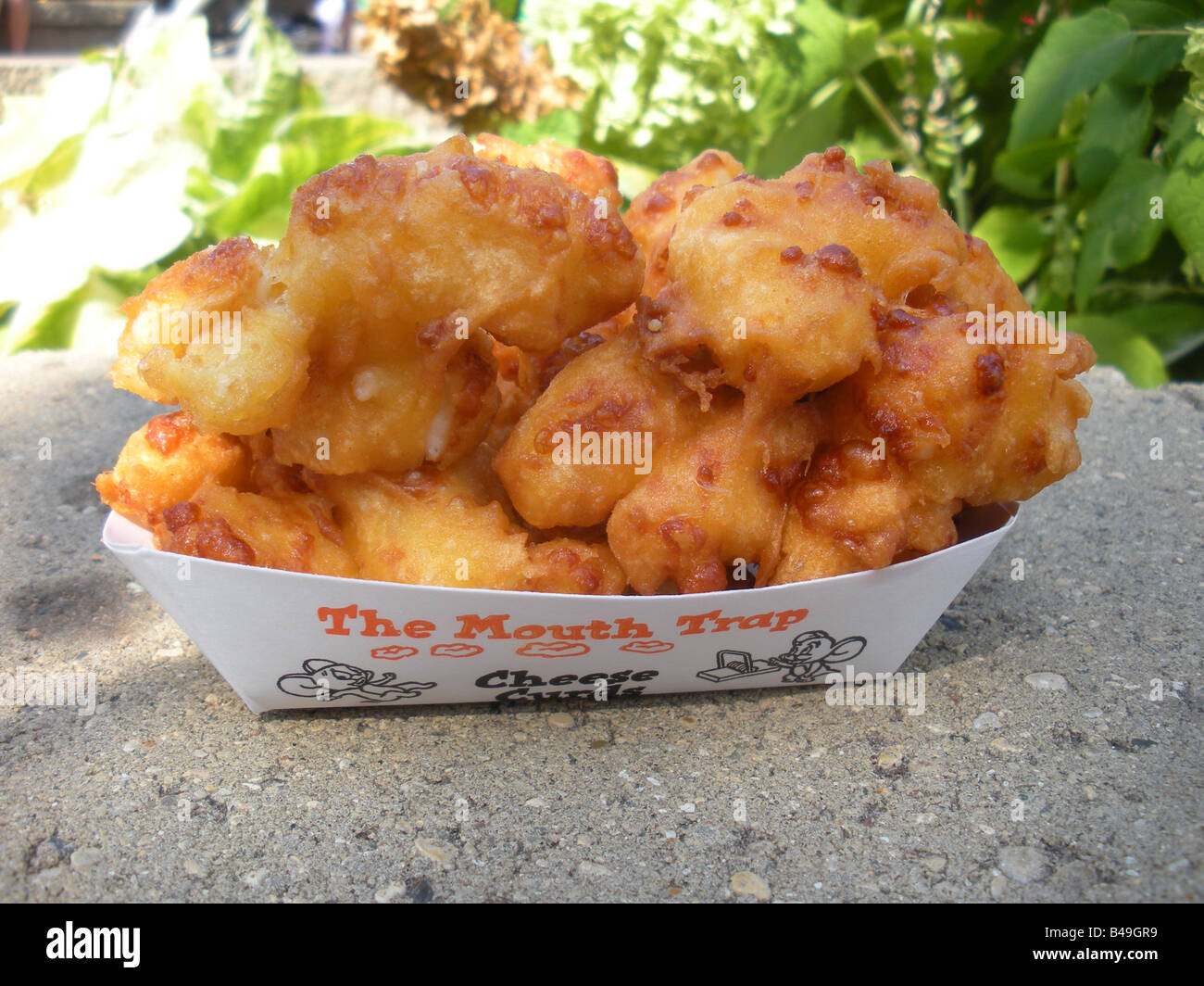 Deep fried cheese curds at the Minnesota State Fair Stock Photo