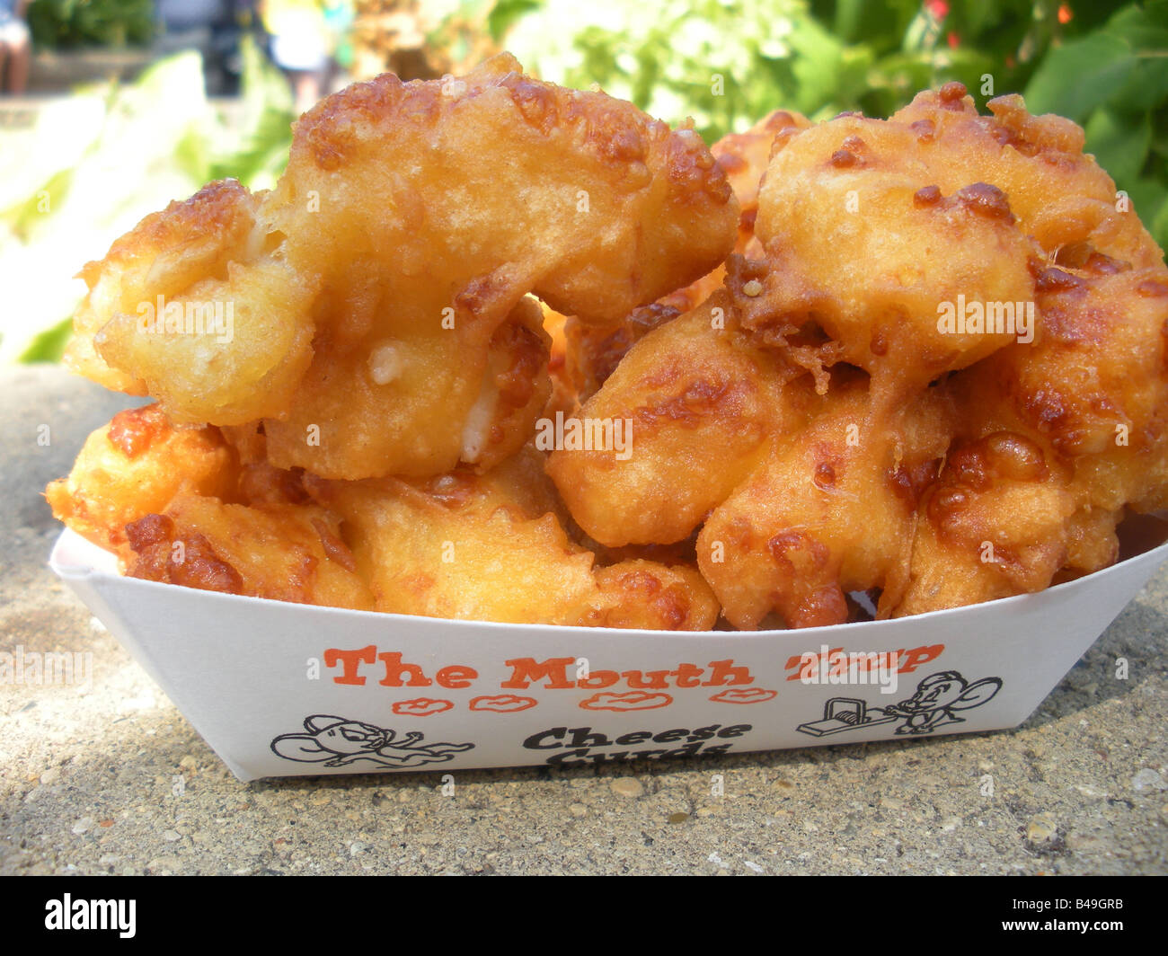 Deep fried cheese curds at the Minnesota State Fair Stock Photo
