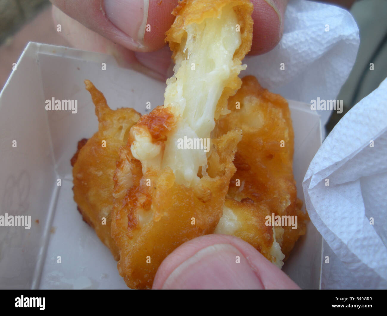 Deep fried cheese curd at the Minnesota State Fair Stock Photo Alamy