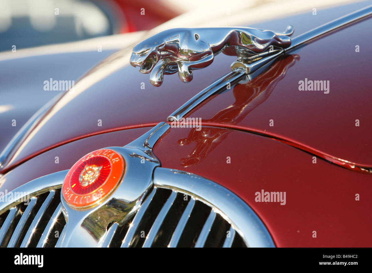 Jaguar bonnet motif hi-res stock photography and images - Alamy