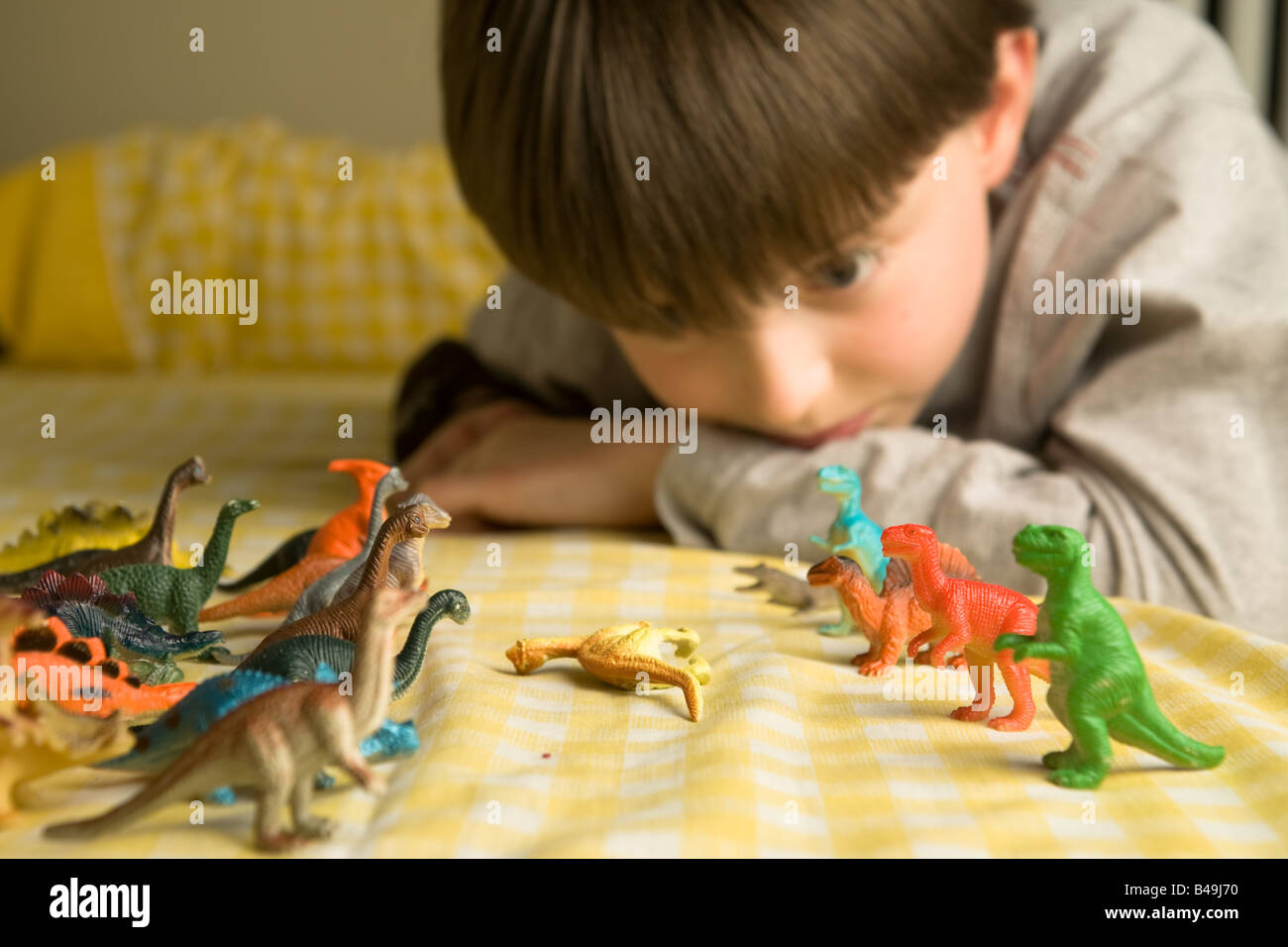 A pre-teen boy gazes over a horde of colorful plastic dinosaurs organized in battle ranks with a felled Diplodocus between them Stock Photo