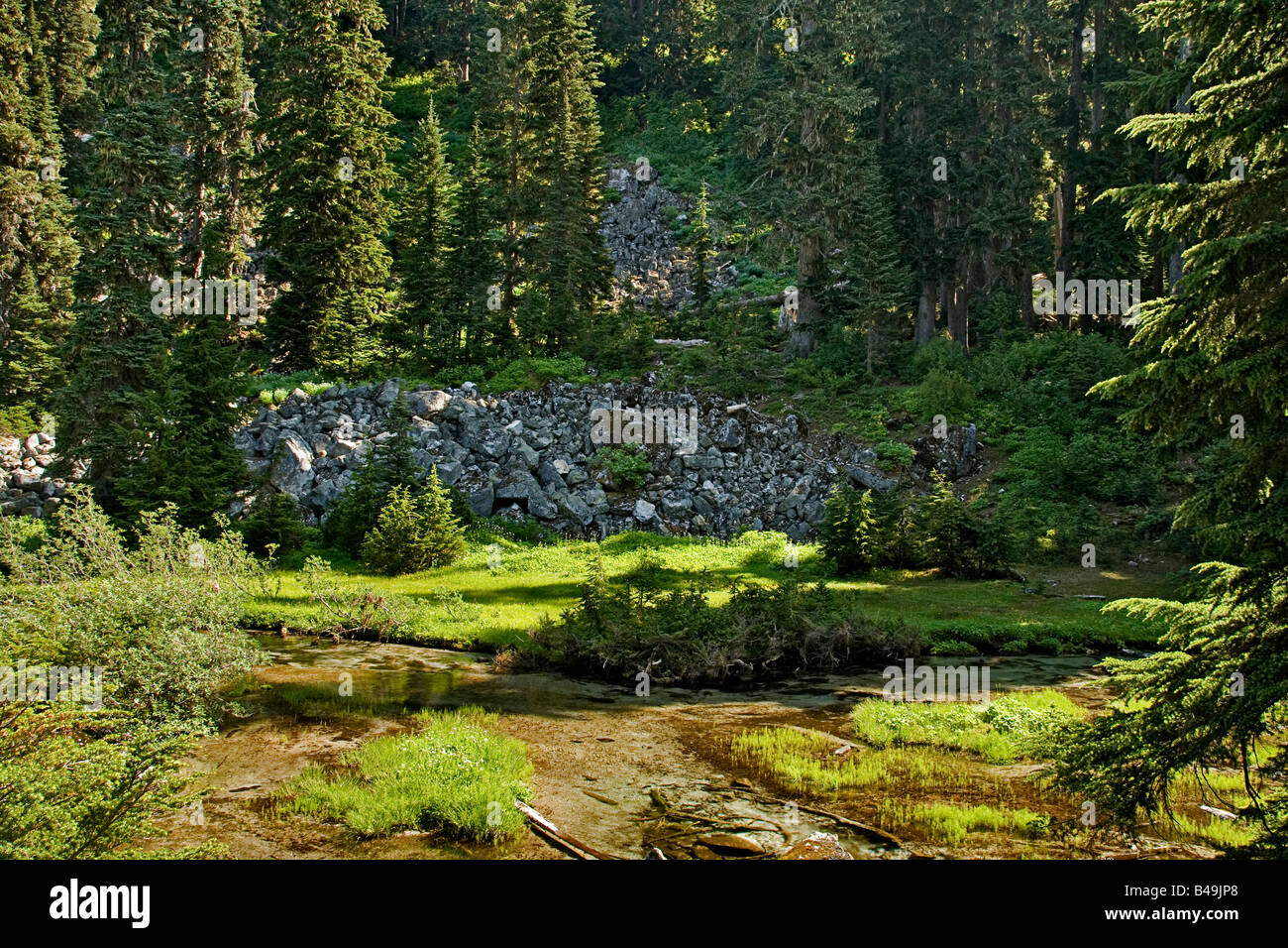 Surprise Lake near Stevens Pass Washington USA Stock Photo Alamy