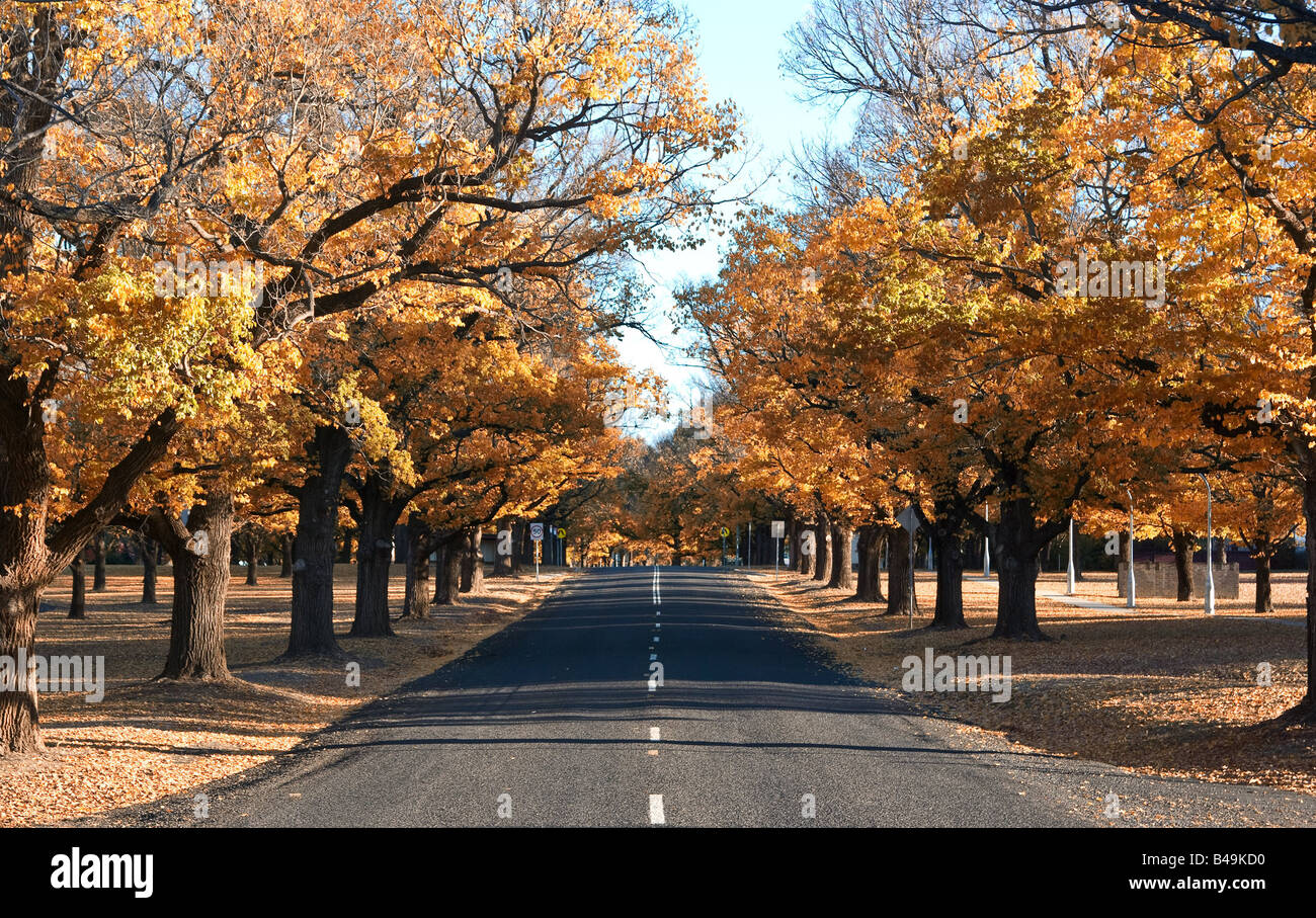 great colourful image of a country road or path in autumn Stock Photo