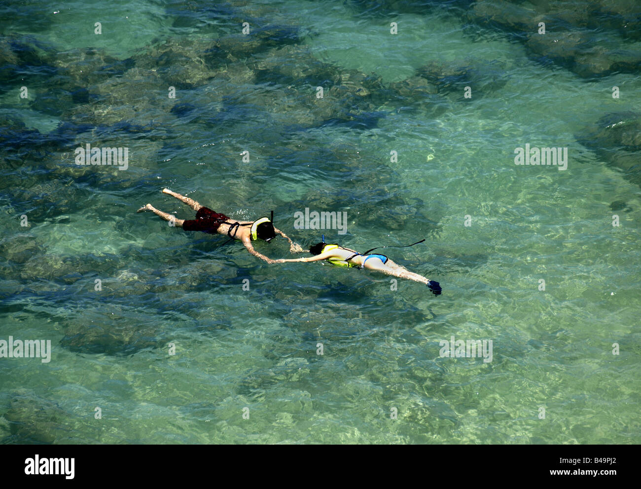 couple snorkeling in Hawaii Stock Photo