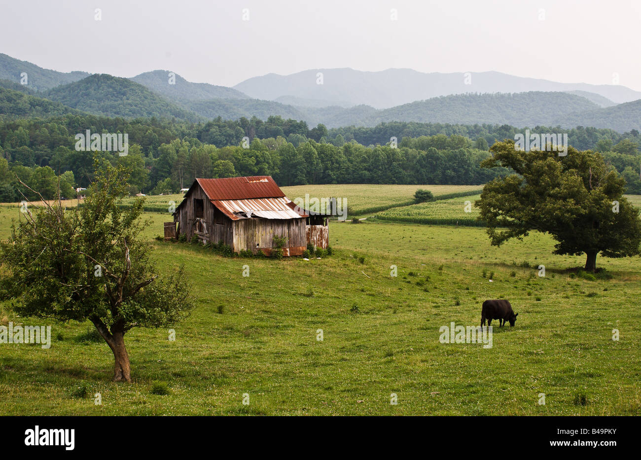 Farm, Tennessee, USA Stock Photo Alamy