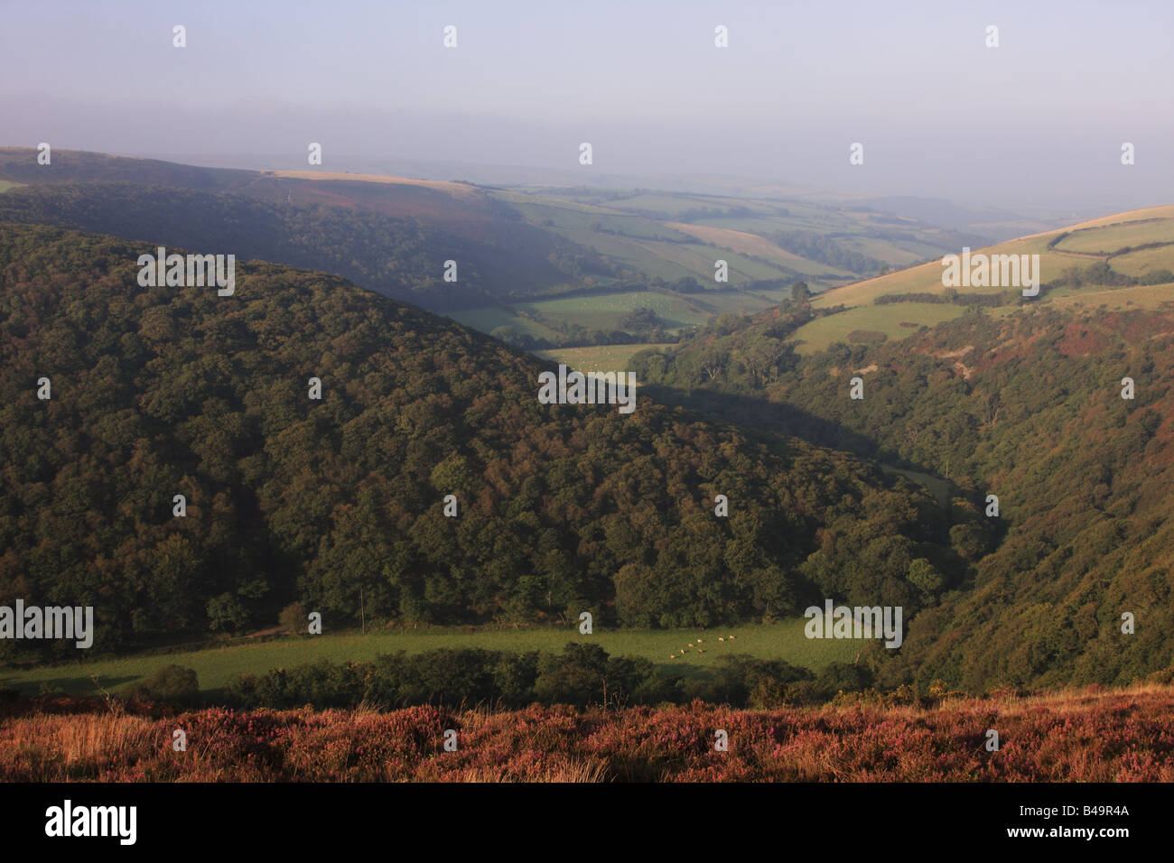 View from County Gate exmoor devon Stock Photo