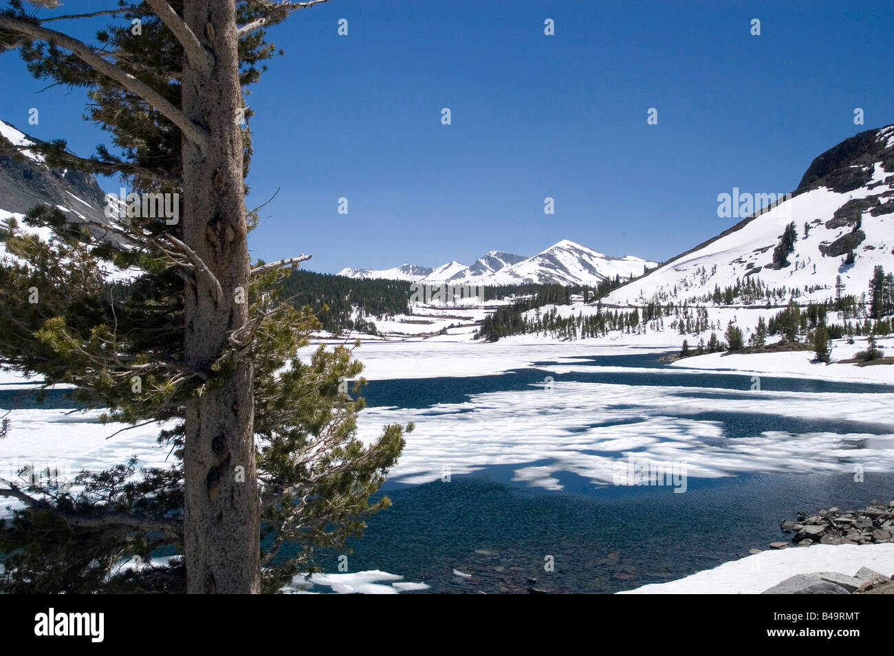 Tioga Lake: Your Pennsylvania Adventure Awaits!