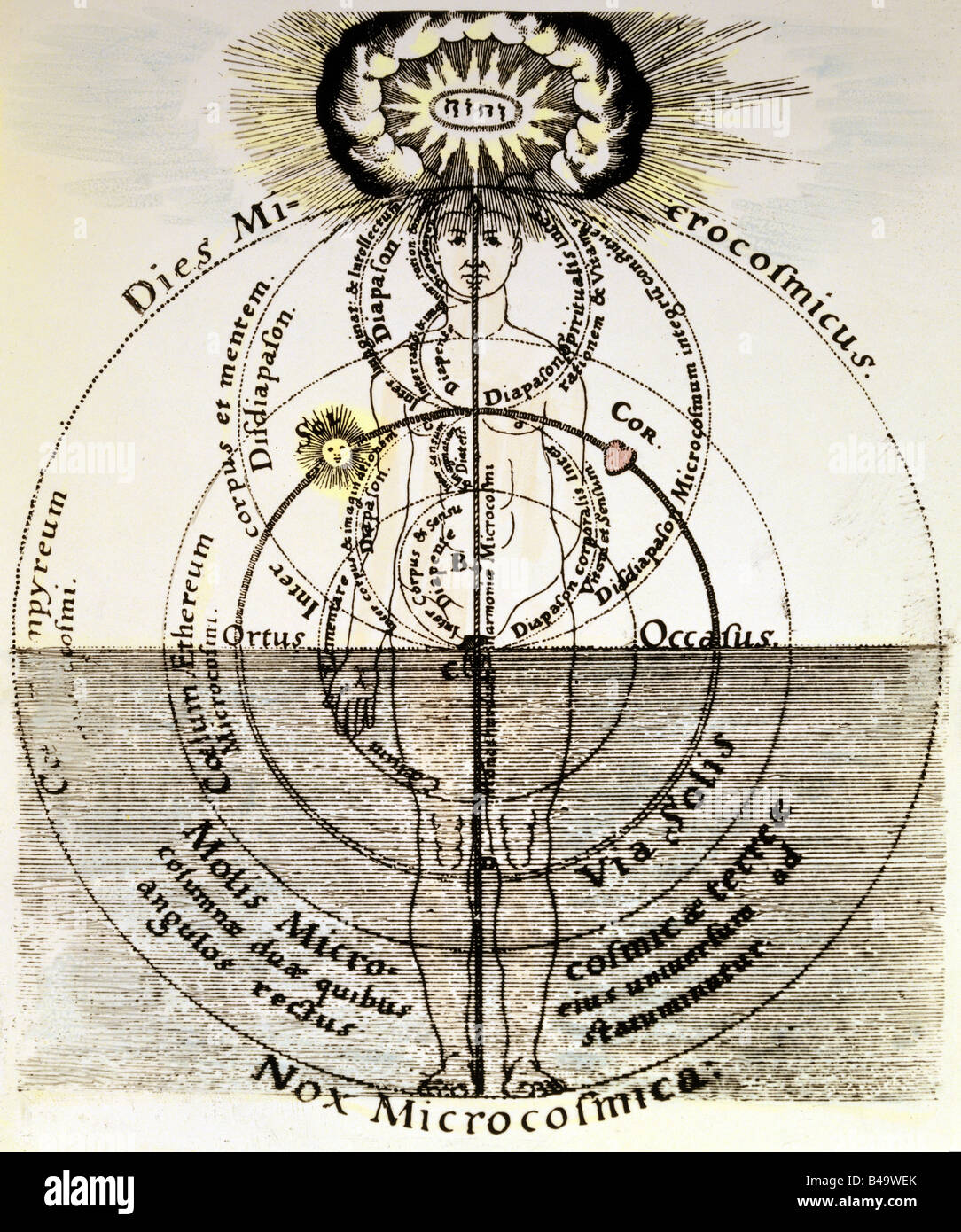 allegories, scheme of nature with human figure, coloured copper engraving, Germany, early 17th century, private collection, humans, allegory, religion, God, heart, sun, historic, historical, people, Artist's Copyright has not to be cleared Stock Photo