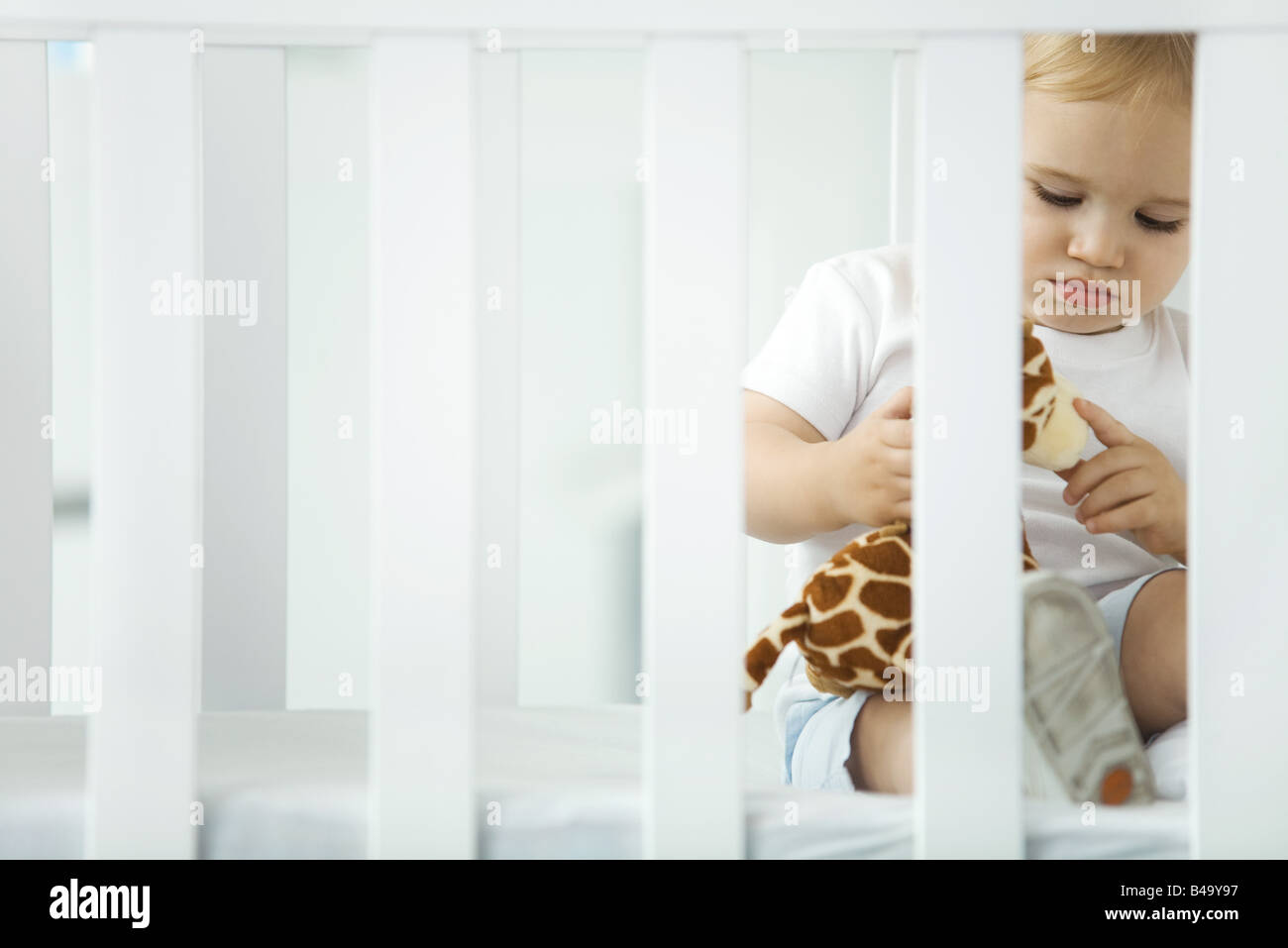 Toddler sitting in crib, playing with stuffed giraffe Stock Photo Alamy