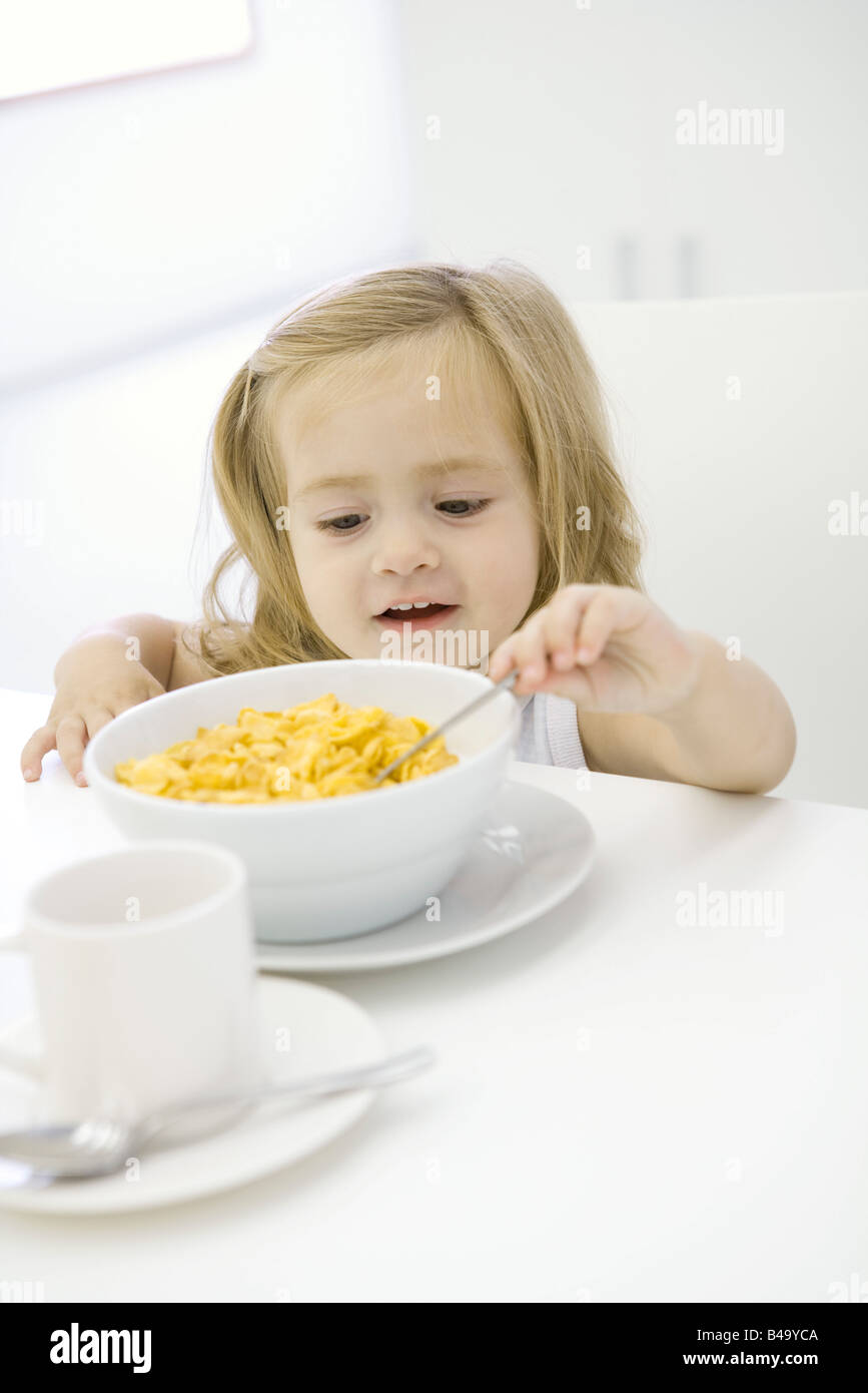 Toddler girl reaching to eat bowl of cereal Stock Photo Alamy