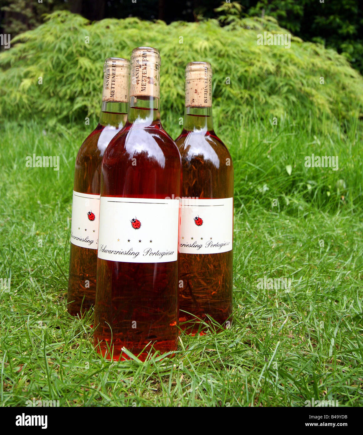 Wine cork garden label hires stock photography and images Alamy