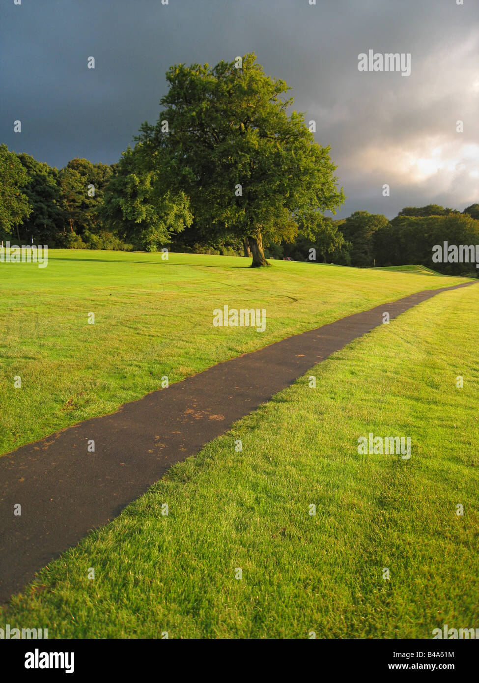 Path through park land passing tree in evening with magical sunlight ...