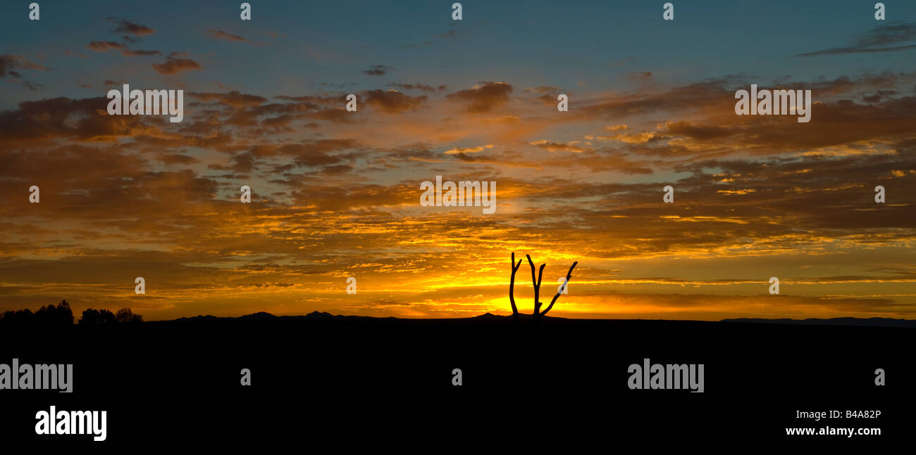 Panoramic image of New Mexico Sunrise Stock Photo