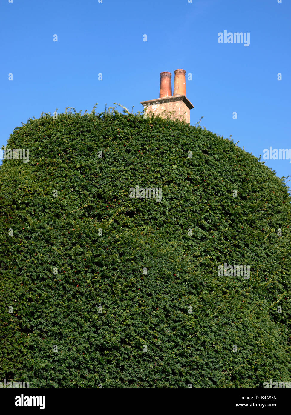 Hedge shapes hi-res stock photography and images - Alamy