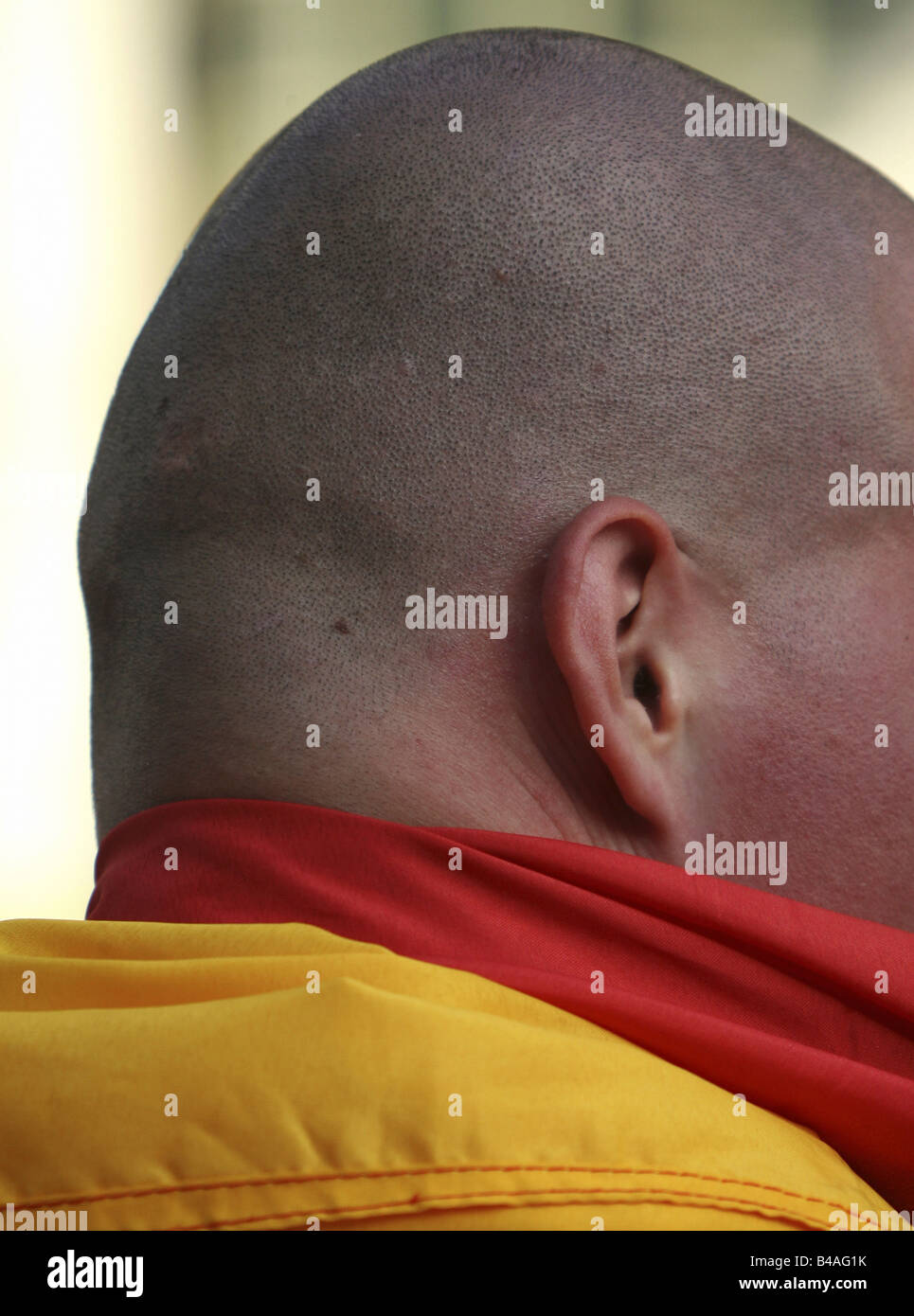 German football fan with a shaven head Stock Photo