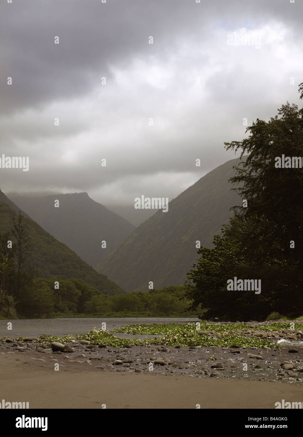 Kamehameha wave hires stock photography and images Alamy