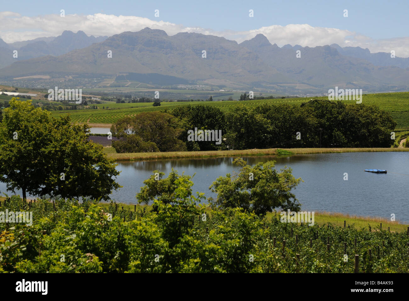 geography / travel, South Africa, landscapes, lake in wineyard, win-growing estate 'De Waal Unterwyk', view towards mountain range, near Stellenbosch, Additional-Rights-Clearance-Info-Not-Available Stock Photo