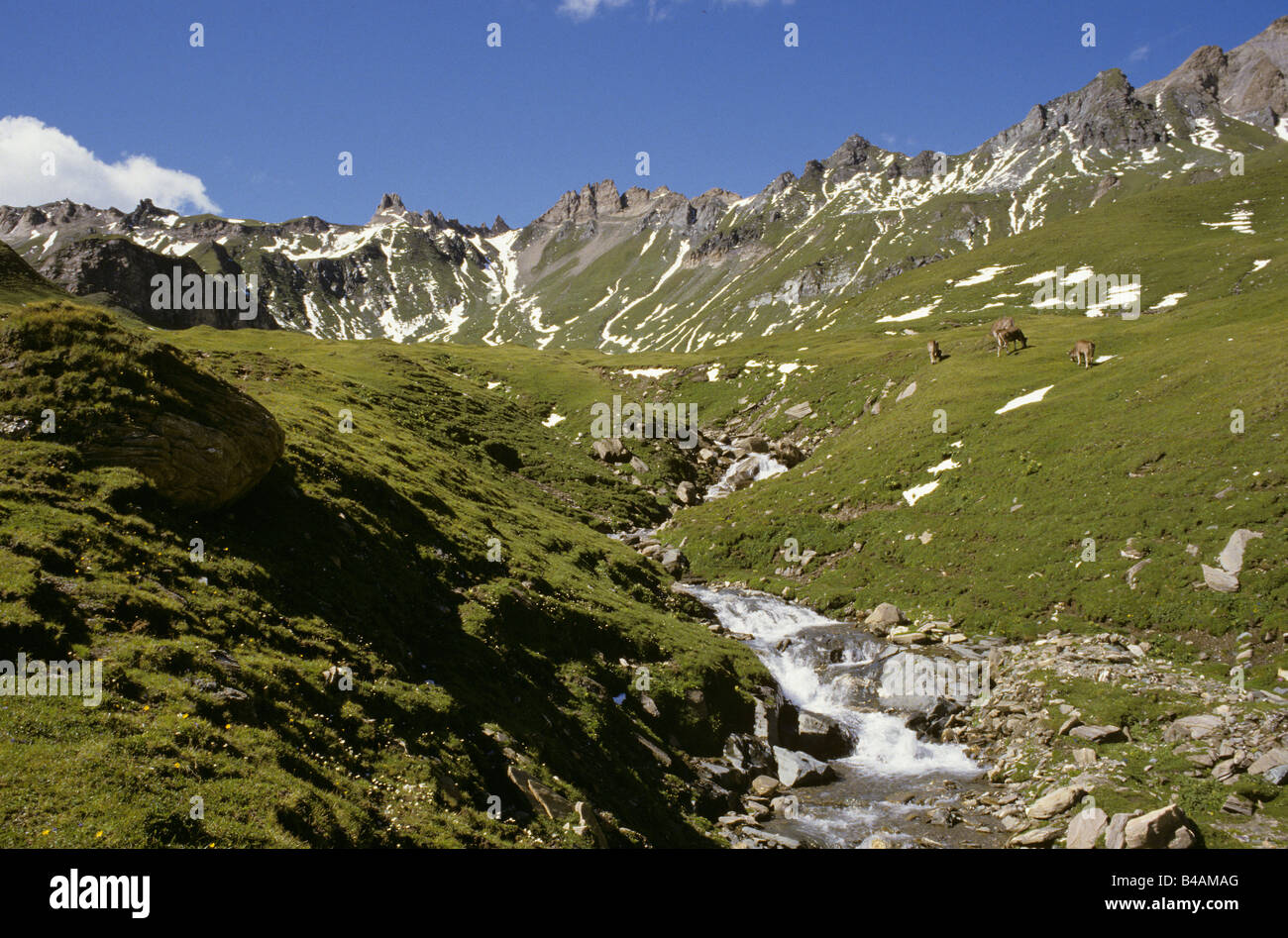 landscape "Valser Bach" south tyrol italy Stock Photo