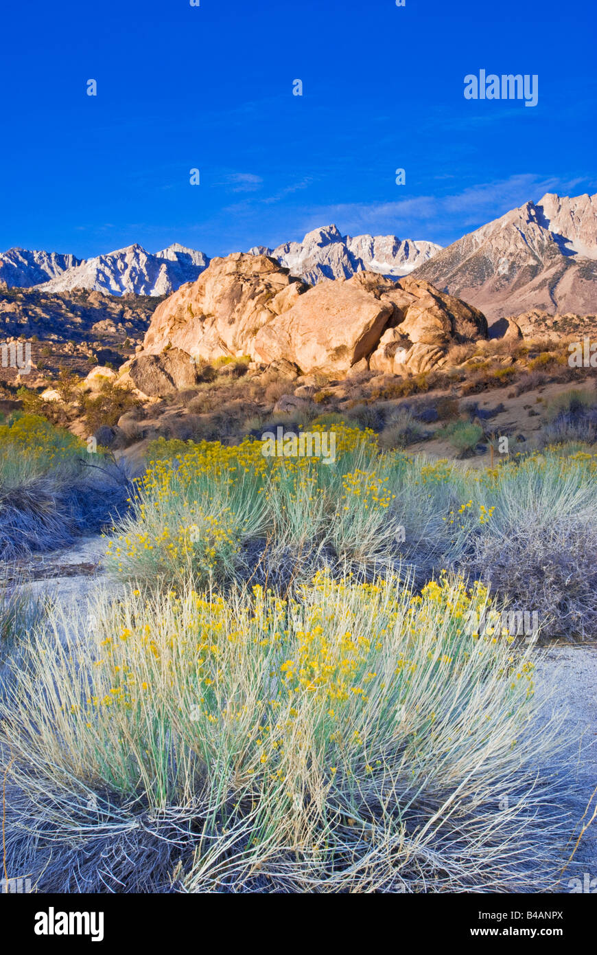Morning light on the High Sierra from Buttermilk Country Bishop California Stock Photo