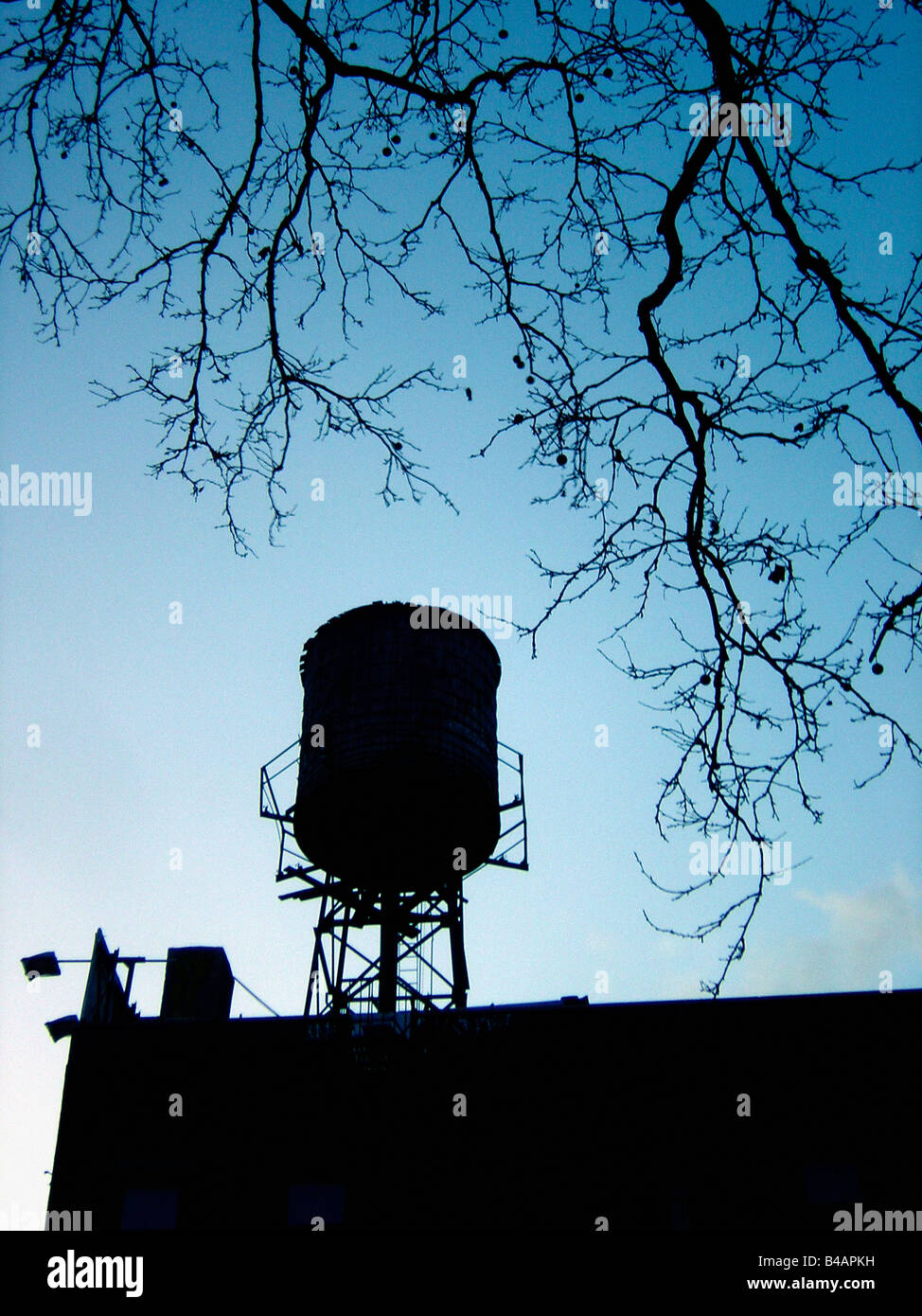 Urban Scene of a Water Tower and Bare Tree Silhouetted Against a Dusk Sky Copy Space Stock Photo