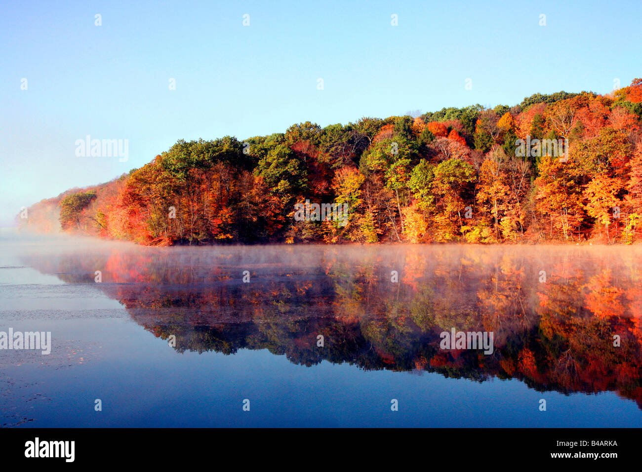Plants of new england hi-res stock photography and images - Alamy