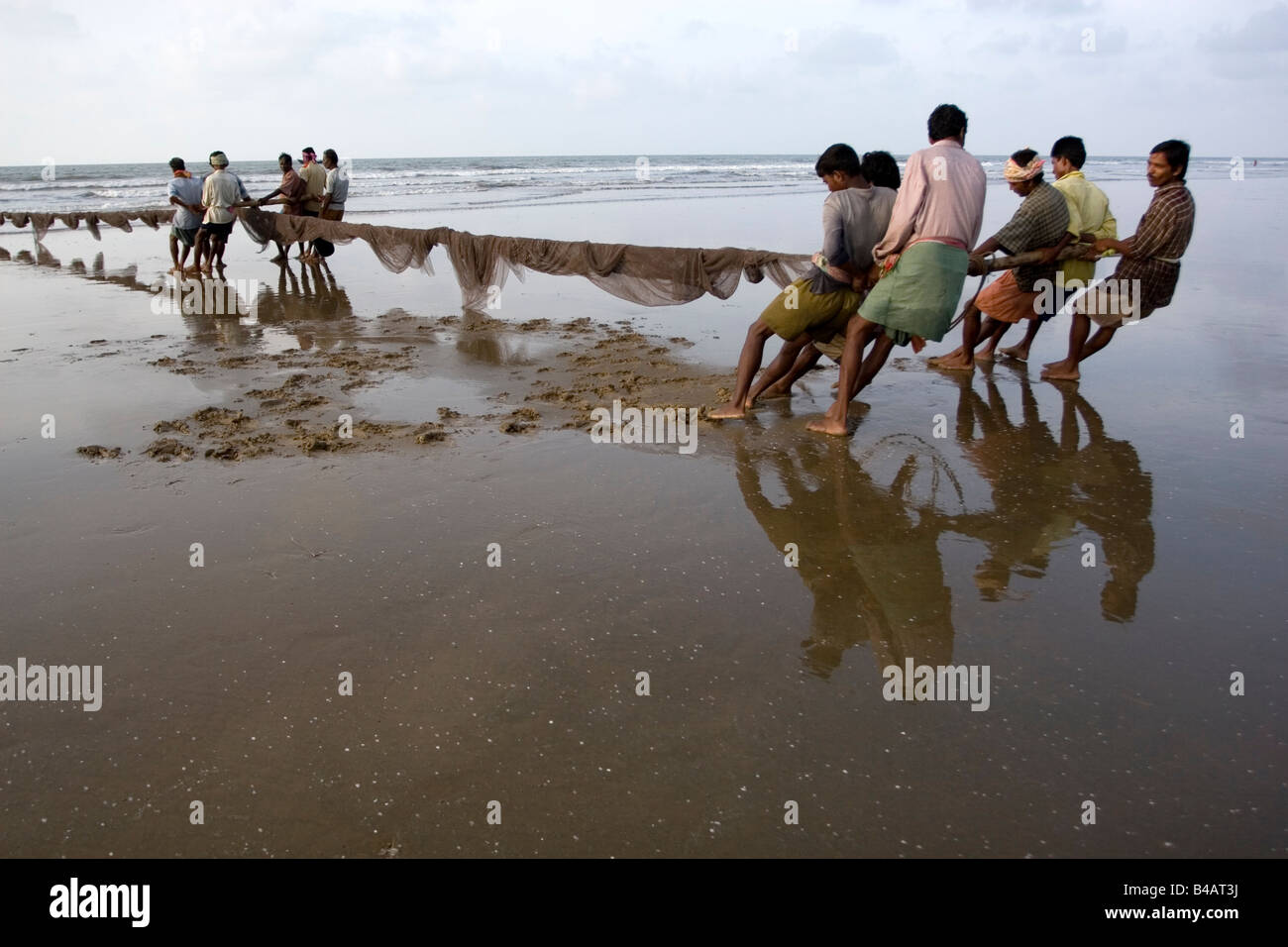 fishermen engaged in capturing fishes from the fishing net in early morning at Digha, West Bengal,India Stock Photo
