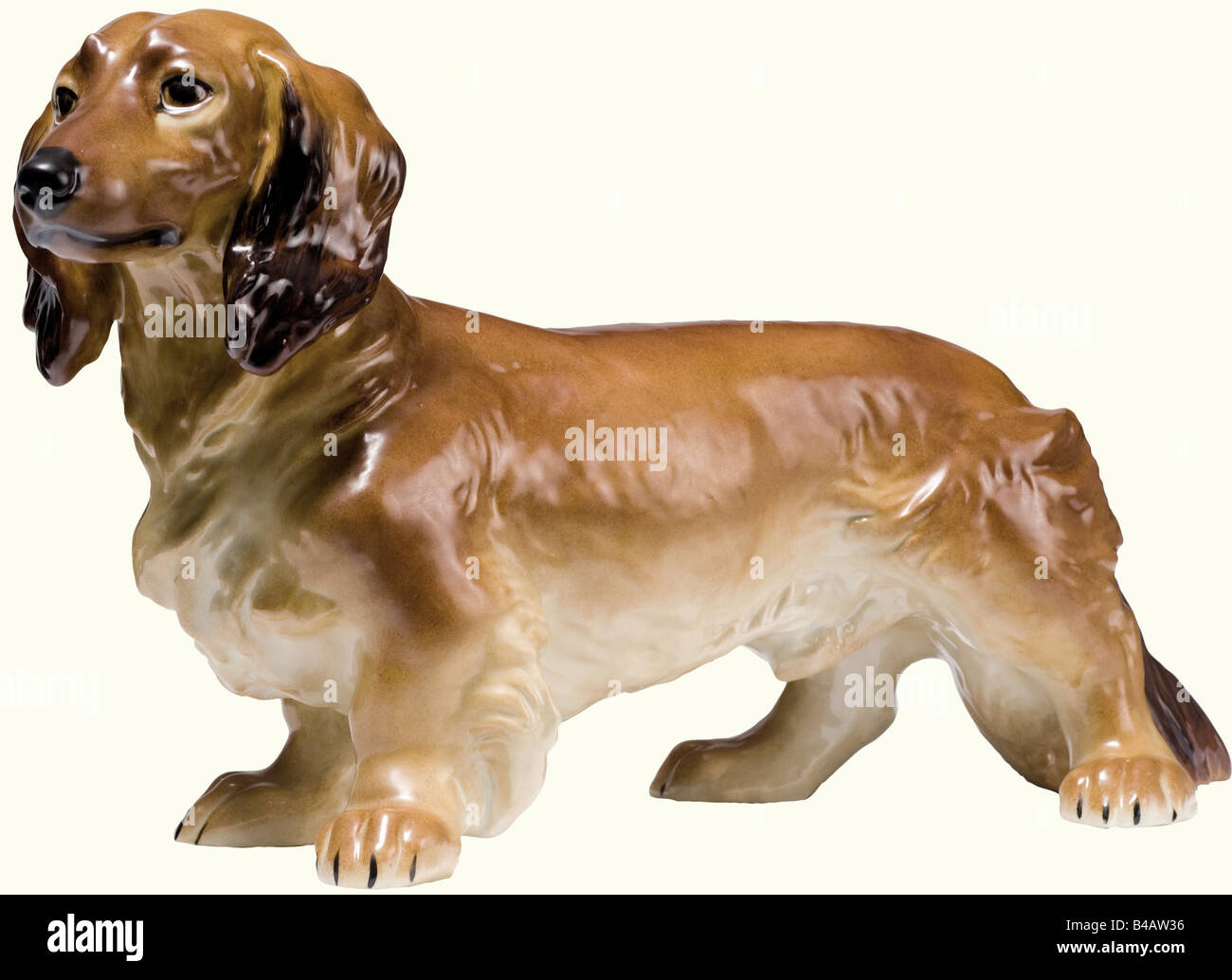 A long-haired dachshund., Coloured and glazed porcelain figure, on the belly the press mark of the porcelain factory. Undamaged. Height 19 cm. Slight variation of the dachshund described in the previous lot, this one being a late wartime product. fine arts, 1930s, 1930s, 20th century, object, objects, stills, clipping, clippings, cut out, cut-out, cut-outs, Artist's Copyright has not to be cleared Stock Photo
