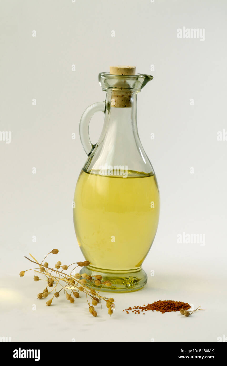 Wild Flax, Linseed Dodder (Camelina sativa), bottle of oil twig and seeds, studio picture Stock Photo