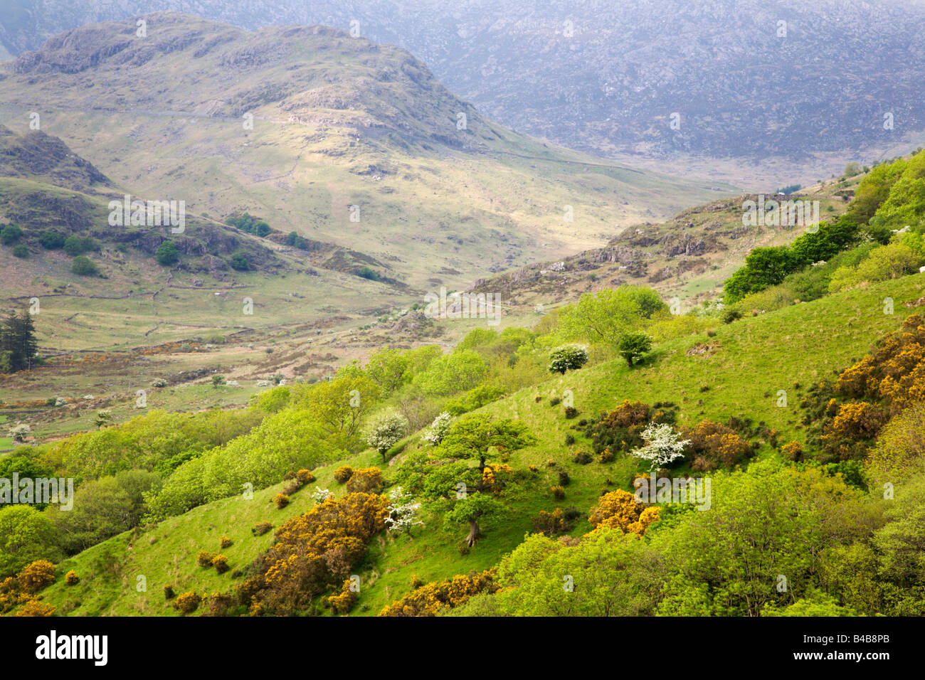 Spring in the Glaslyn Valley Snowdonia Wales Stock Photo Alamy