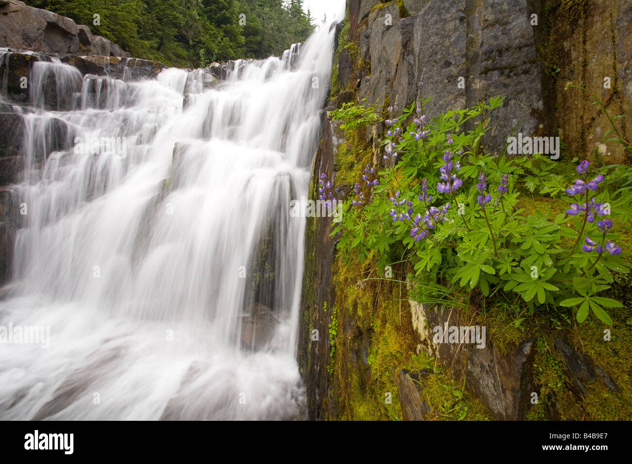 Sunbeam Falls, Mount Rainier National Park, Washington, USA Stock Photo