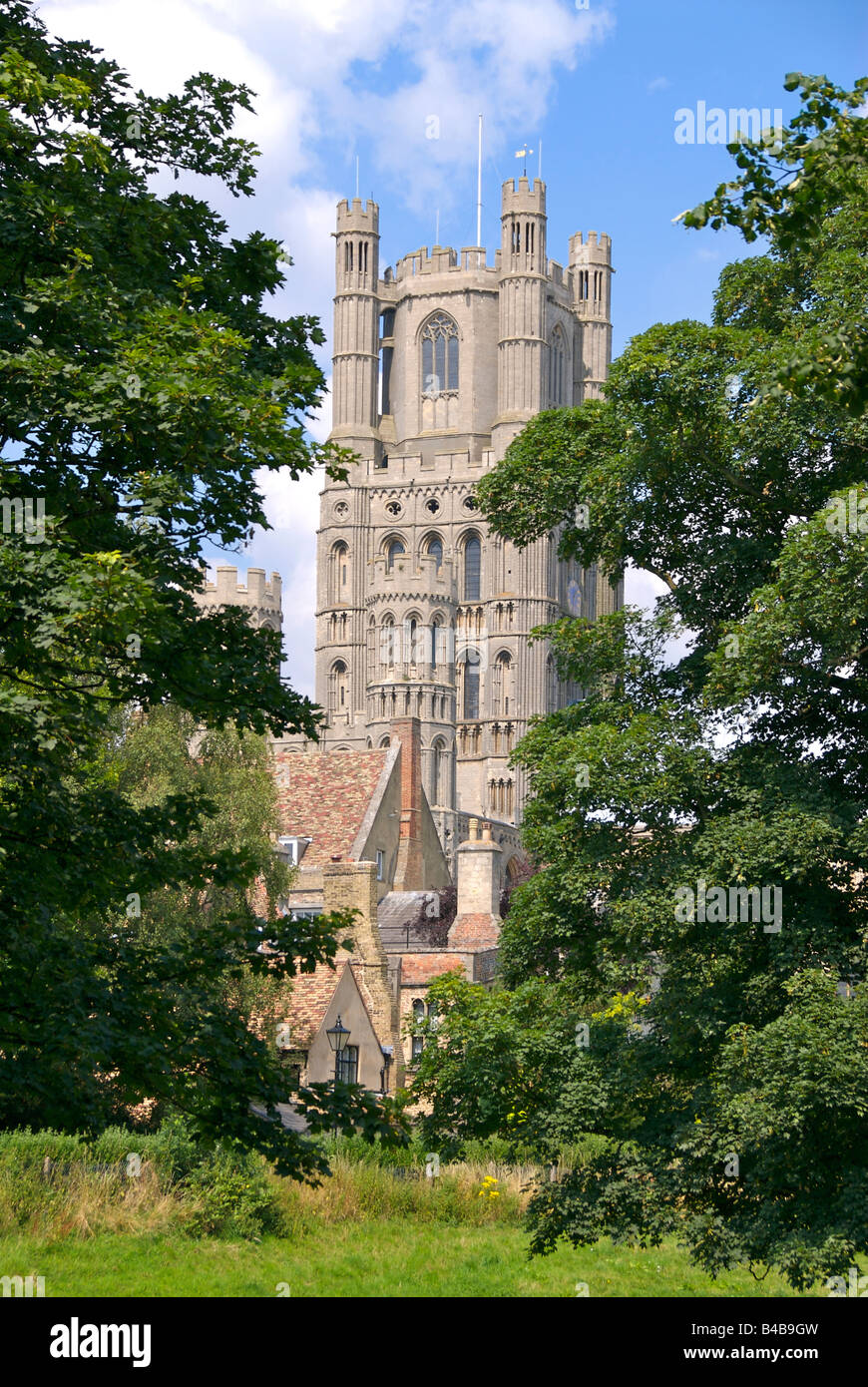 Trees of ely cathedral hi-res stock photography and images - Alamy