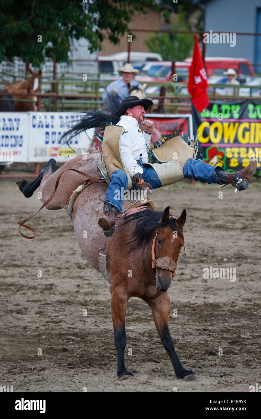 Amature bareback