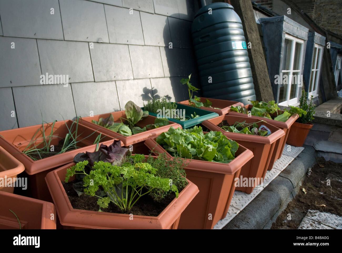 Rooftop veggie garden hires stock photography and images Alamy