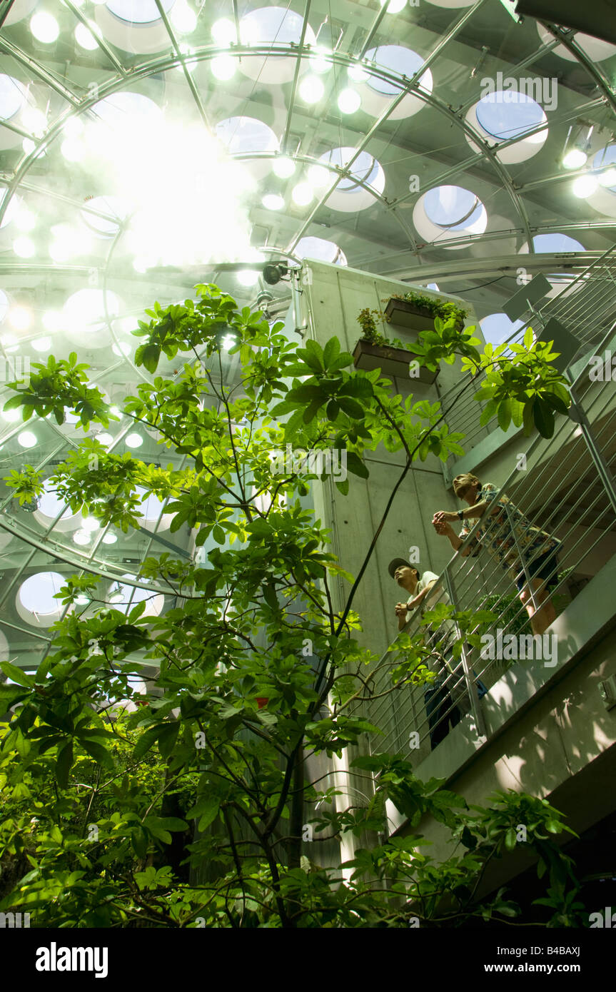 Rainforest Exhibit, California Academy of Sciences, Renzo Piano, architect, opened September 2008, San Francisco California Stock Photo