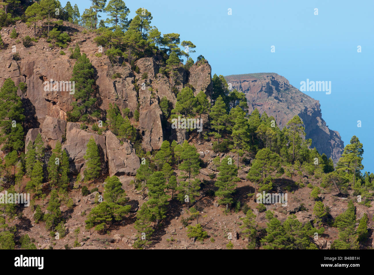 El Parque natural de Tamadaba on Gran Canaria in The Canary islands. Roque Faneque in the distance Stock Photo
