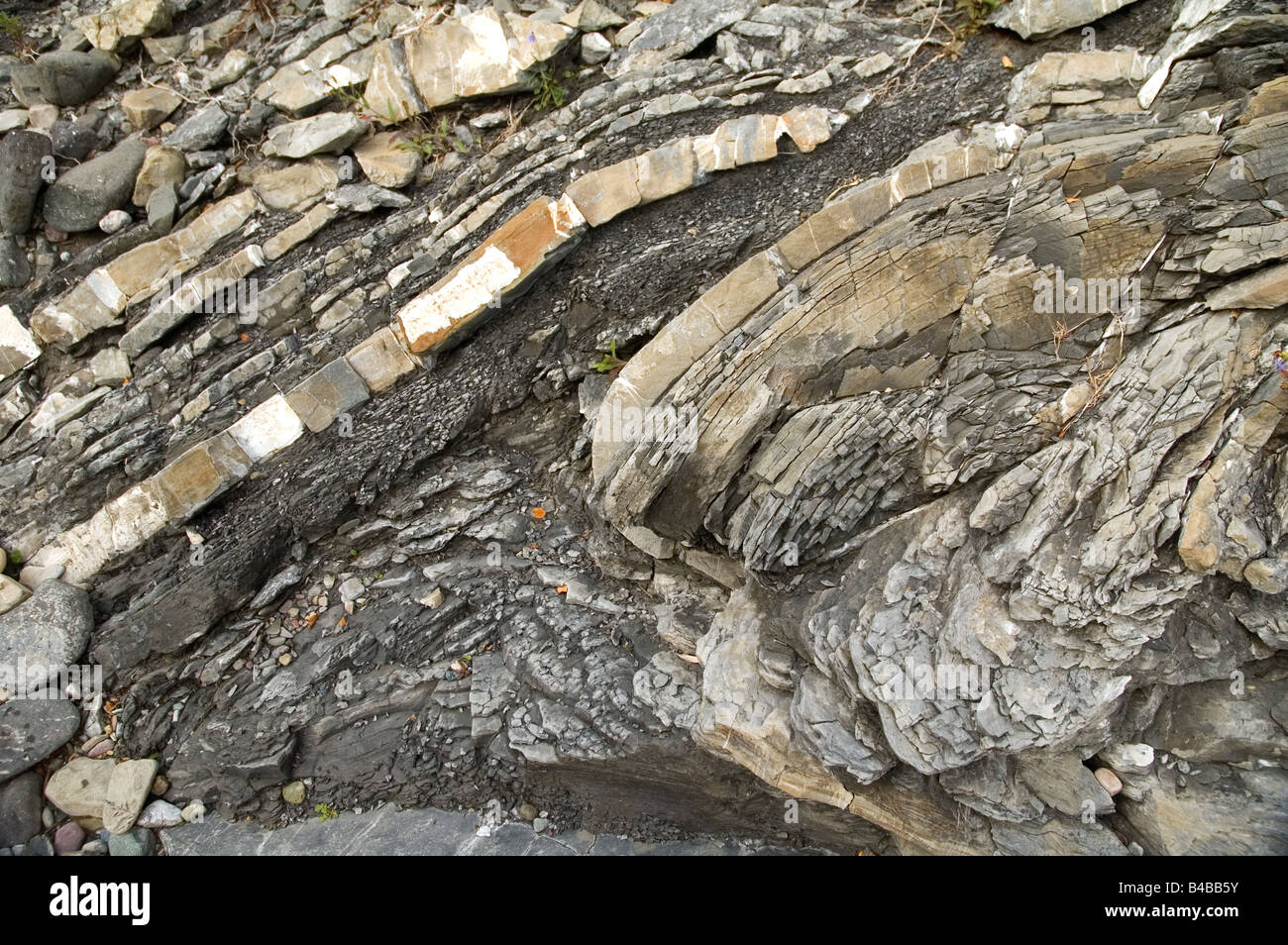 Folded bedrock of mudstone and shale Stock Photo - Alamy