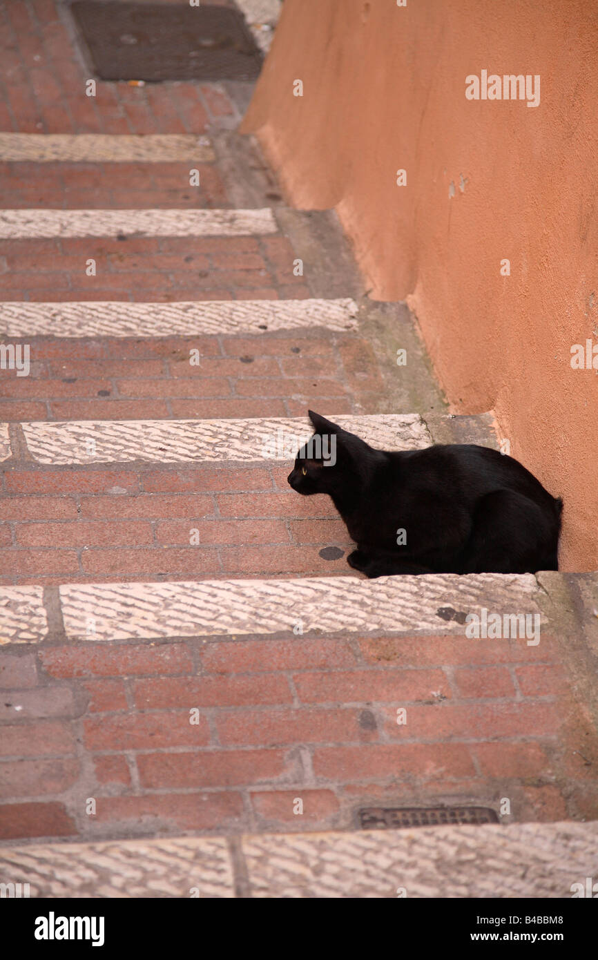 A black cat lying on some steps Stock Photo - Alamy