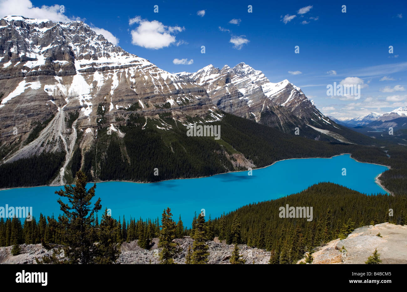 Peyto Lake in Banff National Park, Alberta, Canada Stock Photo - Alamy