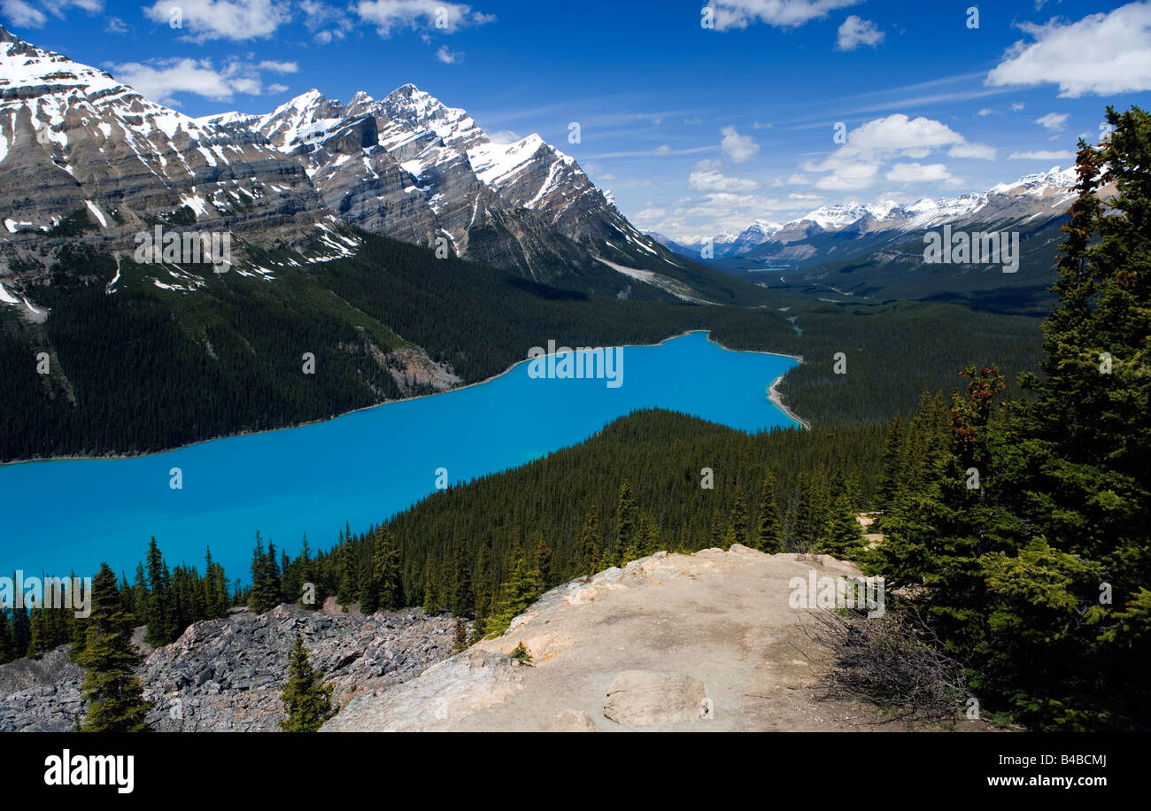 Peyto Lake in Banff National Park, Alberta, Canada Stock Photo - Alamy