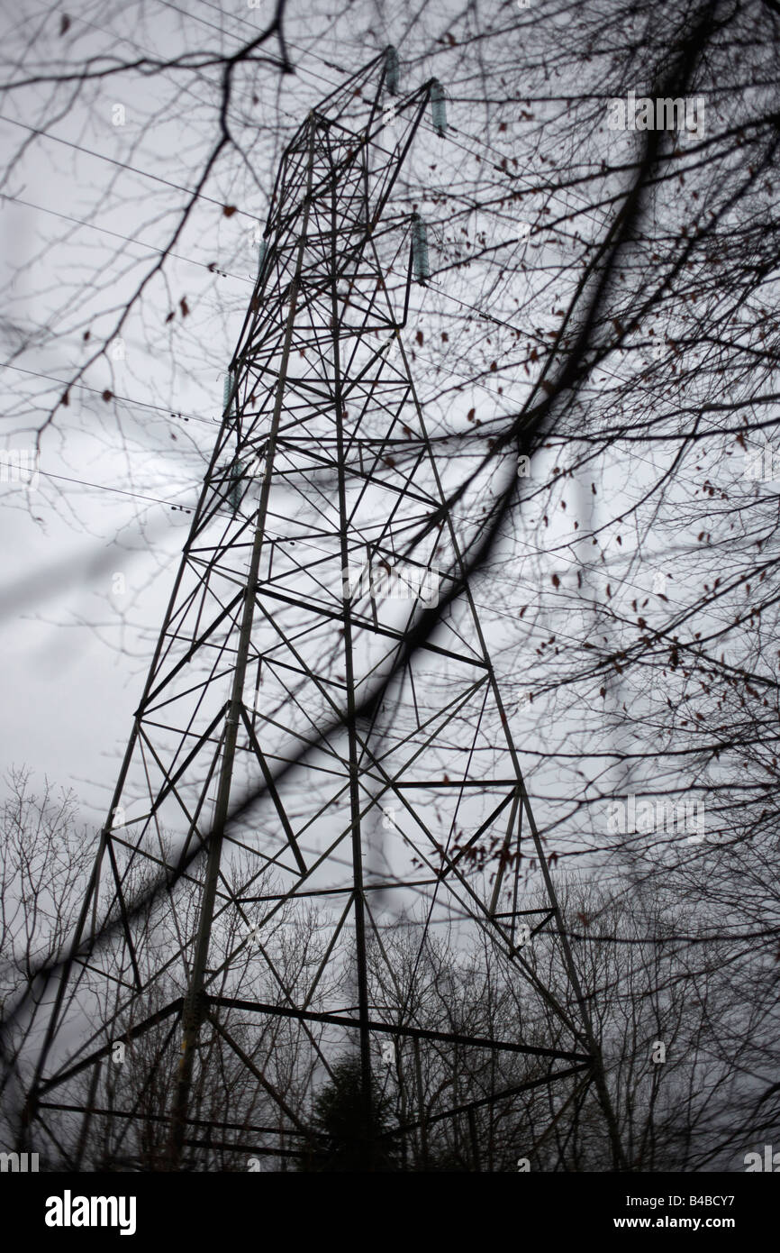 The dark outline of an electricity pylon stands over a gloomy winter sky in woodland near Wrington North Somerset England Stock Photo