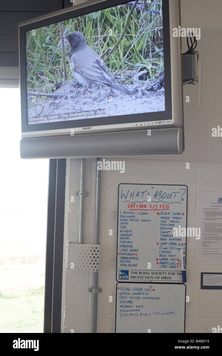 Daily information board and wildlife film provided for RSPB bird ornithologists at Rainham Marshes Reserve Stock Photo